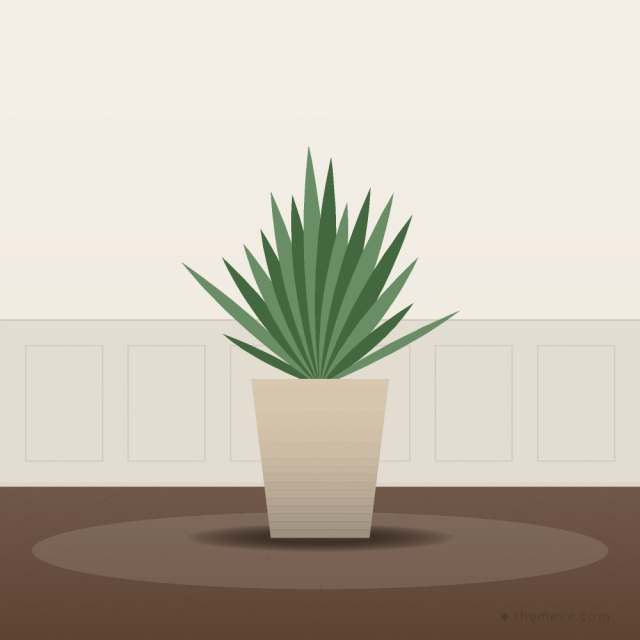 Planter with Fiddle-leaf Palm